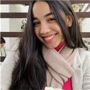 Portugués básico, intermedio y avanzado a nivel nativo